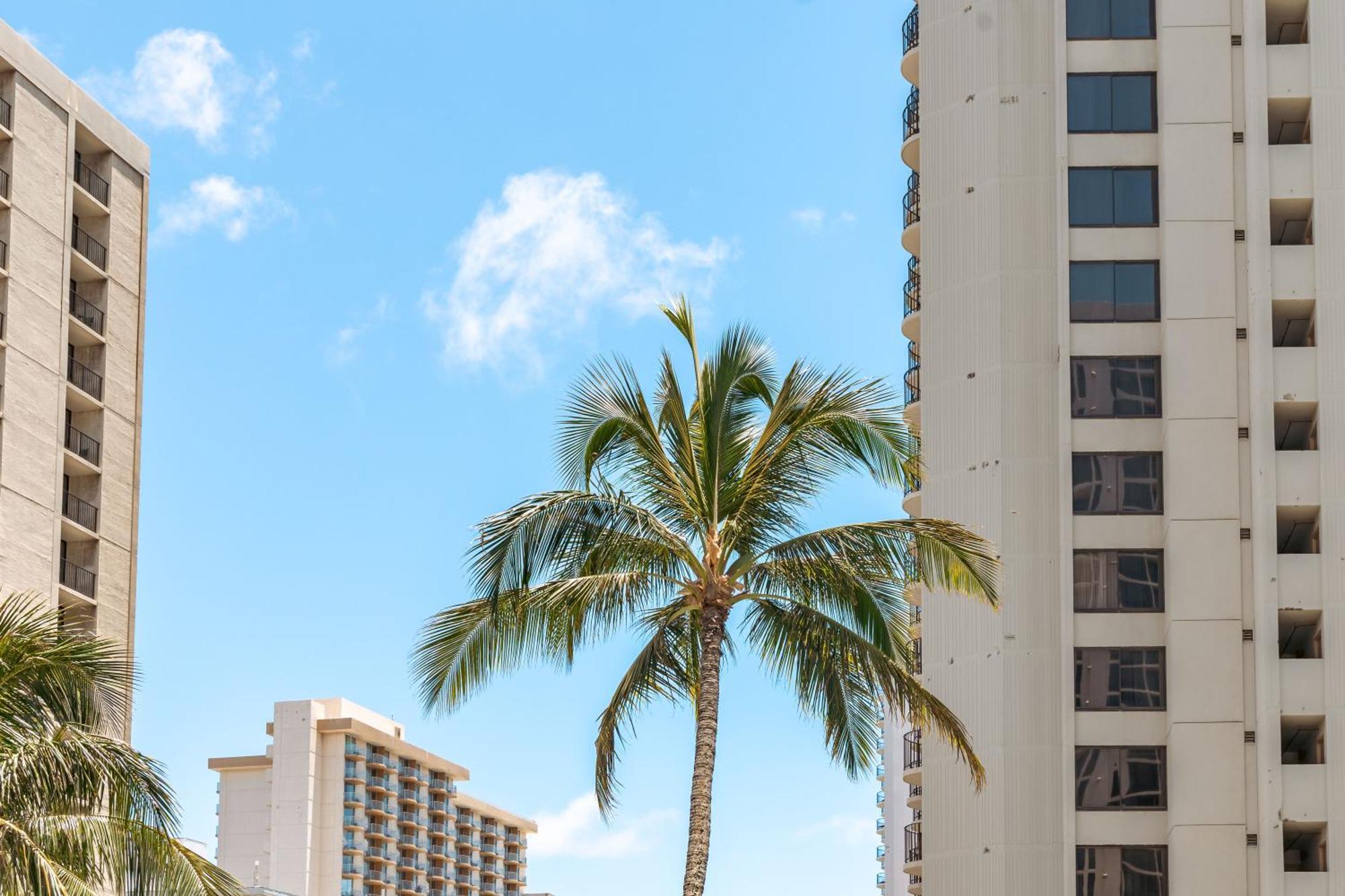 Beautiful 1Br, Steps To Waikiki Beach And Parking Honolulu Exteriér fotografie