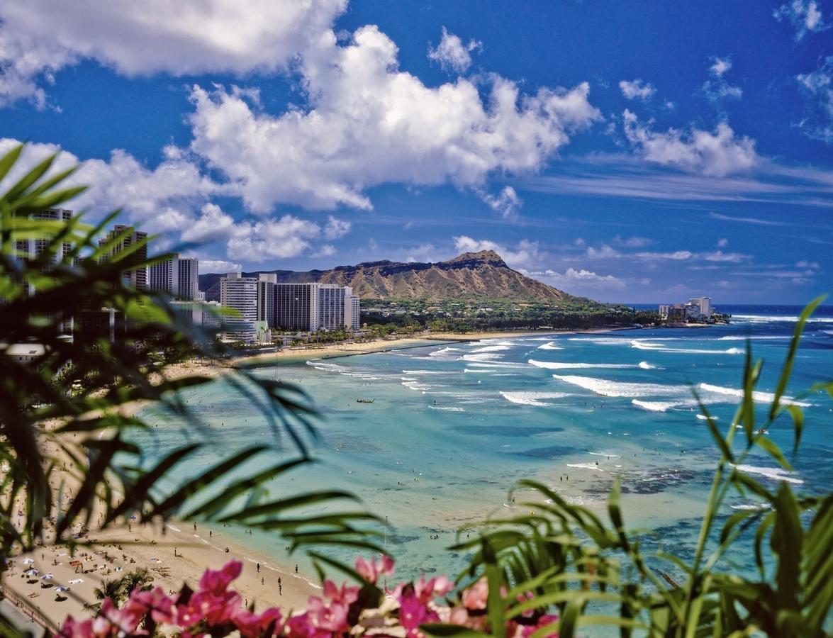 Beautiful 1Br, Steps To Waikiki Beach And Parking Honolulu Exteriér fotografie