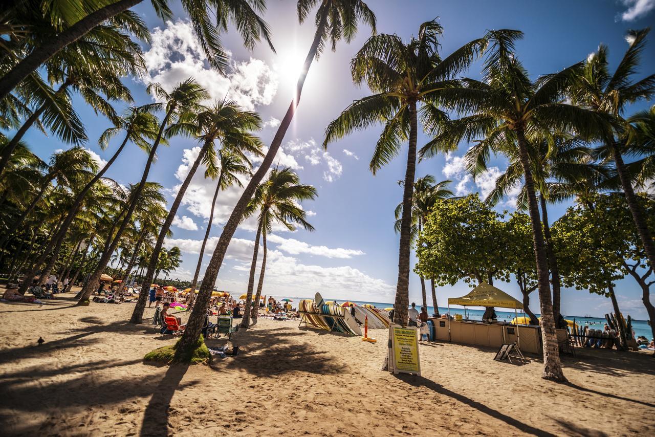 Beautiful 1Br, Steps To Waikiki Beach And Parking Honolulu Exteriér fotografie